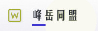 合作伙伴